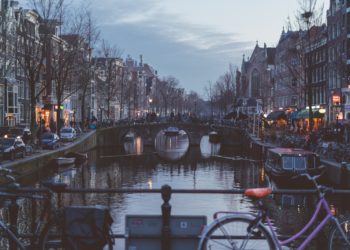 Séisme politique aux Pays-Bas : l’extrême droite de Geert Wilders remporte les législatives