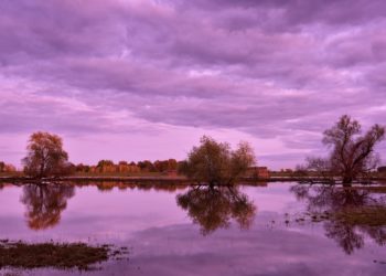 Inondations, le 65 repasse en alerte jaune, 1 départements d'Occitanie en vigilance orange