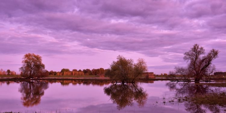 Inondations, le 65 repasse en alerte jaune, 1 départements d'Occitanie en vigilance orange