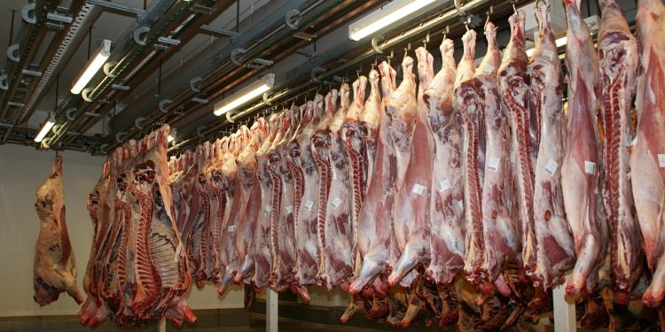 flesh, beef, butcher
