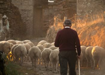 Des agriculteurs en colère vont mener des actions au marché Marcadieu ce jeudi à Tarbes