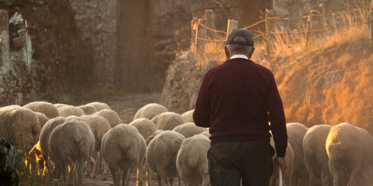 Des agriculteurs en colère vont mener des actions au marché Marcadieu ce jeudi à Tarbes