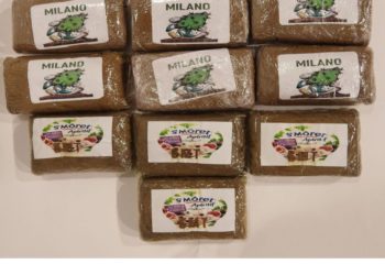 Arrêtés pour excès de vitesse, ils transportaient 10 savonnettes de cannabis