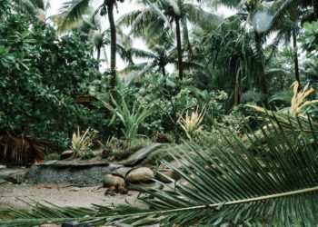Premières images du cyclone Belal sur la Réunion
