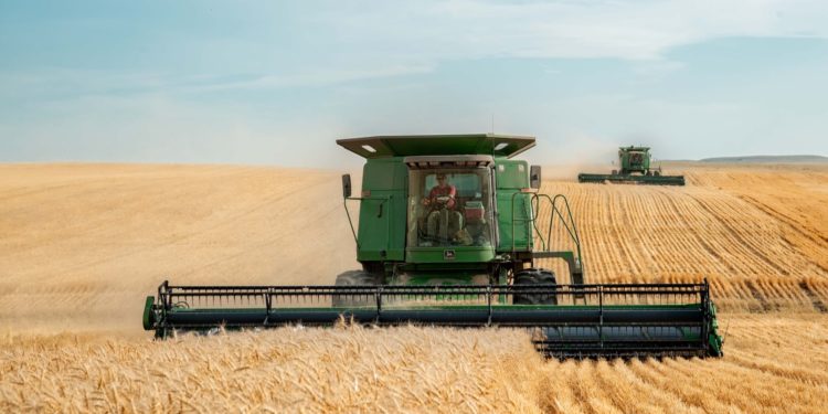 Les prix des produits alimentaires mondiaux ont baissé de 13,7% en 2023