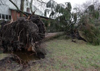 Durant cette phase, il est expressément demandé à la population réunionnaise de respecter les consignes suivantes : Ne sortir sous aucun prétexte et attendre impérativement les consignes des autorités ; Se tenir éloigné des ouvertures pour éviter les projections de verre en cas de bris ; Rester calme et à l’écoute des bulletins météorologiques et des consignes officielles ; Se préparer à des coupures du courant électrique, de réseaux de communication et d’eau potable. L’agence régionale de santé de La Réunion tient à sensibiliser la population sur les risques liés à l’usage de groupes électrogènes en intérieur pour pallier les coupures d’électricité. L’intoxication au monoxyde de carbone peut être mortelle. Ce gaz, toxique, incolore et inodore, est responsable chaque année d’une centaine de décès en France. L’alerte violette couvrira le passage de l’œil du cyclone, une zone de calme relatif situé au centre du cyclone. Il ne faut pas se laisser tromper par l'amélioration temporaire des conditions météorologiques et rester confiné.