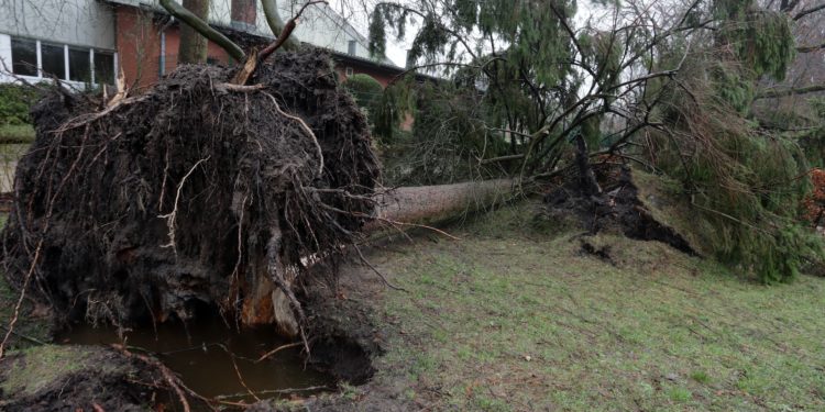 Durant cette phase, il est expressément demandé à la population réunionnaise de respecter les consignes suivantes : Ne sortir sous aucun prétexte et attendre impérativement les consignes des autorités ; Se tenir éloigné des ouvertures pour éviter les projections de verre en cas de bris ; Rester calme et à l’écoute des bulletins météorologiques et des consignes officielles ; Se préparer à des coupures du courant électrique, de réseaux de communication et d’eau potable. L’agence régionale de santé de La Réunion tient à sensibiliser la population sur les risques liés à l’usage de groupes électrogènes en intérieur pour pallier les coupures d’électricité. L’intoxication au monoxyde de carbone peut être mortelle. Ce gaz, toxique, incolore et inodore, est responsable chaque année d’une centaine de décès en France. L’alerte violette couvrira le passage de l’œil du cyclone, une zone de calme relatif situé au centre du cyclone. Il ne faut pas se laisser tromper par l'amélioration temporaire des conditions météorologiques et rester confiné.
