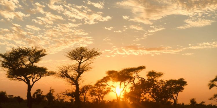 48,8°C en Italie nouveau record de température en Europe continentale