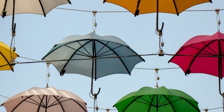 18, 20, 21 degrés annoncés à Tarbes "des températures surréalistes au coeur de l'hiver"