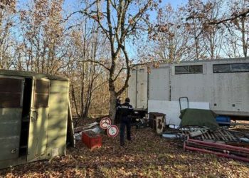 Au milieu des détritus, les gendarmes découvrent une orchidée espèce protégée