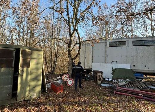 Au milieu des détritus, les gendarmes découvrent une orchidée espèce protégée