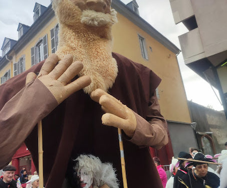 La foule au Carnaval Bigourdan de Tarbes 2024