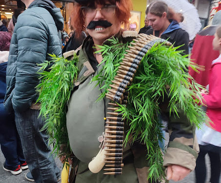 La foule au Carnaval Bigourdan de Tarbes 2024