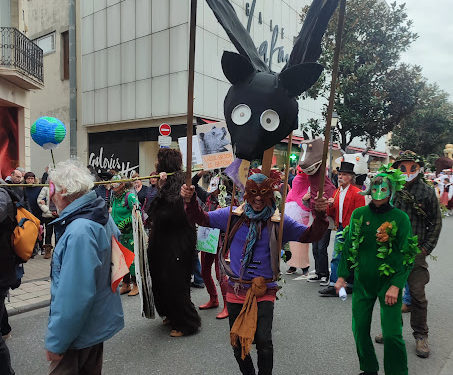 La foule au Carnaval Bigourdan de Tarbes 2024