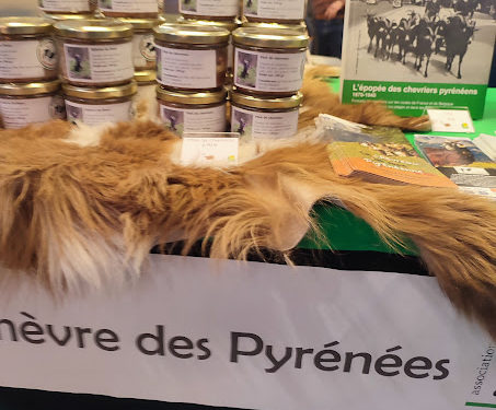 Le salon Agricole de Tarbes 2025 est ouvert : toutes nos photos