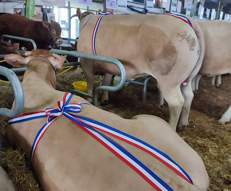 Le salon Agricole de Tarbes 2025 est ouvert : toutes nos photos