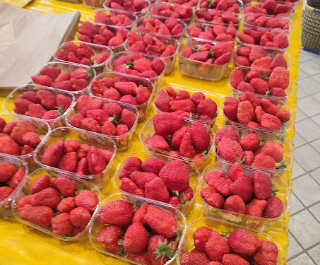 La saison des fraises est ouverte au marché Marcadieu de Tarbes