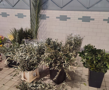 La saison des fraises est ouverte au marché Marcadieu de Tarbes