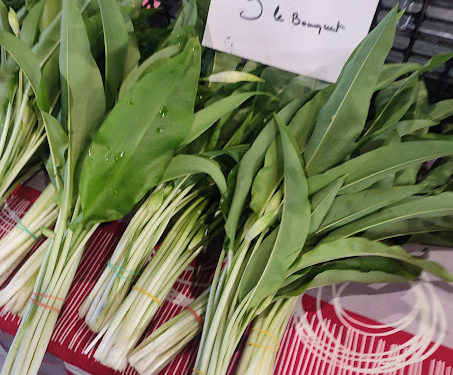 La saison des fraises est ouverte au marché Marcadieu de Tarbes