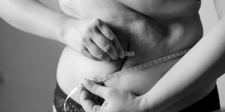 Au moins une personne sur huit est aujourd'hui obèse (OMS)