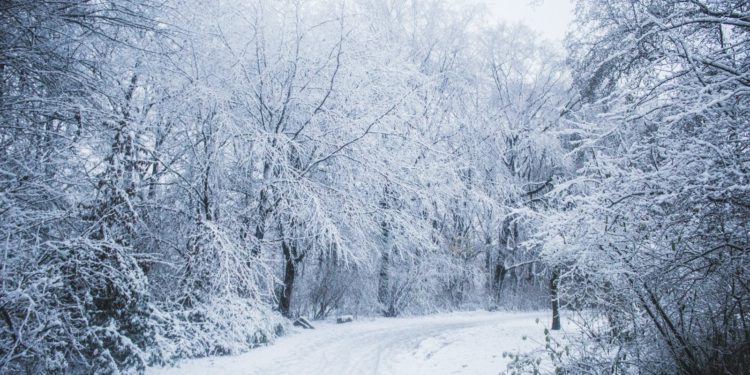Neige Verglas Avalanches, le 65 reste en alerte météo ce dimanche