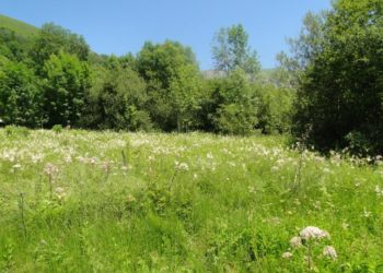 Collectivités, particuliers : une aide pour préserver les zones humides et la biodiversité