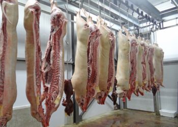 Opinion - La sauvegarde de l’abattoir de Bagnères est un choix politique qui doit être assumé