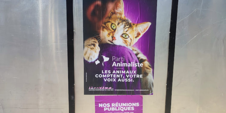 Les 38 panneaux des candidats aux élections européennes sont installés à Tarbes