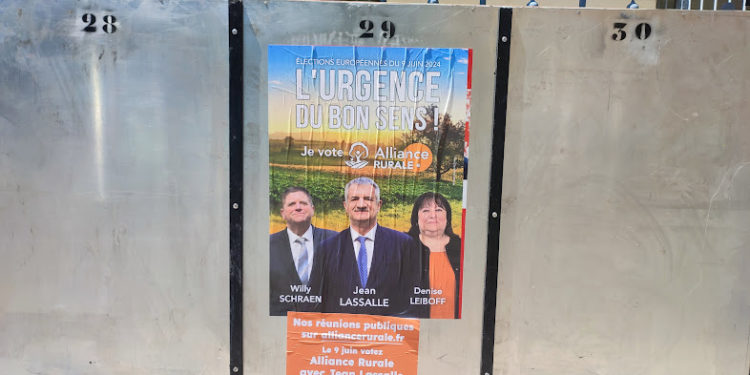 Les 38 panneaux des candidats aux élections européennes sont installés à Tarbes