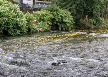 Echez et Adour restent sous surveillance, les Hautes Pyrénées restent en alerte Crues Inondations