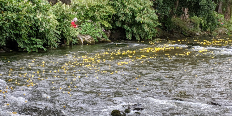 Echez et Adour restent sous surveillance, les Hautes Pyrénées restent en alerte Crues Inondations
