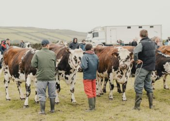 Opération coup de poing des jeunes agriculteurs