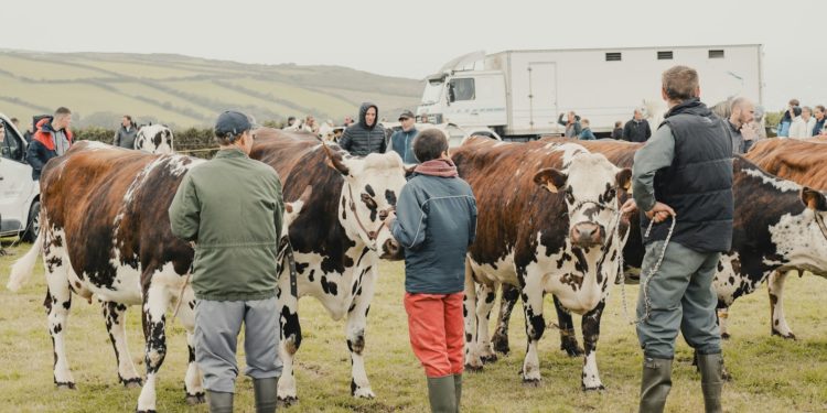 Opération coup de poing des jeunes agriculteurs