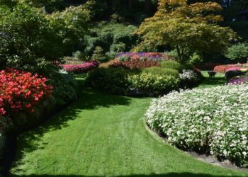 Soleil et chaleur à Tarbes, jusqu'à quand va durer cette météo estivale en Bigorre