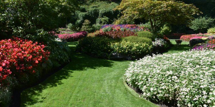 Soleil et chaleur à Tarbes, jusqu'à quand va durer cette météo estivale en Bigorre