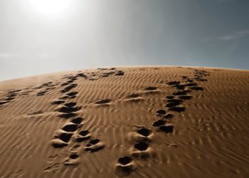 Soudan : 10 millions de déplacés internes et la famine menace (ONU)