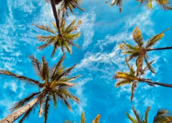 Soleil et plus de 30 degrés puis dégradation : la météo de la semaine à Tarbes