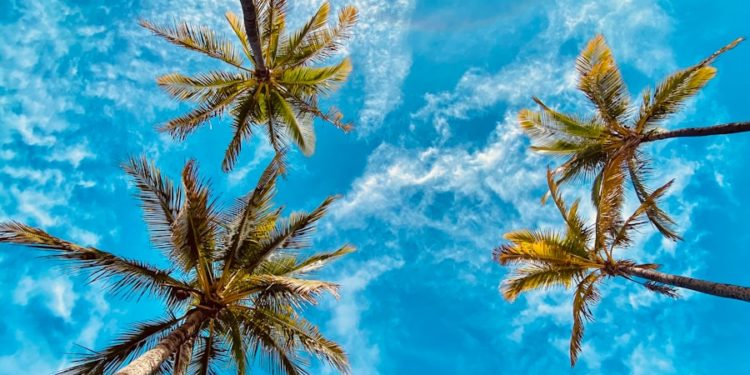 Soleil et plus de 30 degrés puis dégradation : la météo de la semaine à Tarbes