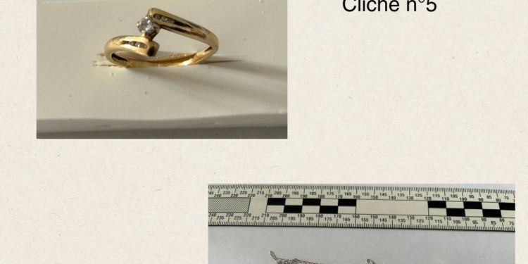 Une centaine de bijoux volés, les enquêteurs recherchent les propriétaires légitimes
