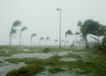 L'ouragan Béryl se dirige vers la Martinique