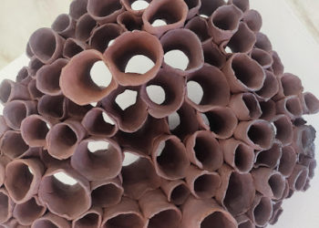 Tarbes - C'est la dernière semaine pour découvrir l'exposition Crépitements à l'Omnibus