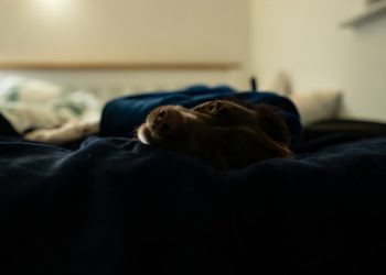 Pourquoi vous vous réveillez souvent à 3 ou 4h du matin