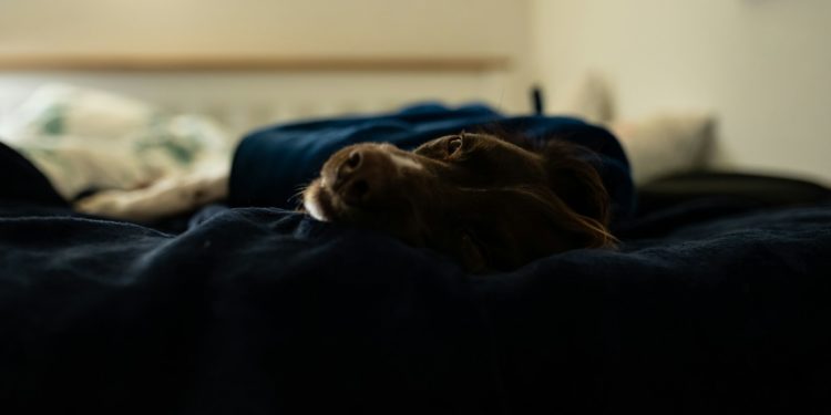 Pourquoi vous vous réveillez souvent à 3 ou 4h du matin