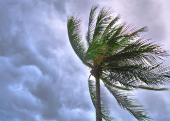 Un nouveau coup de vent va balayer l’ouest de la France à partir de dimanche