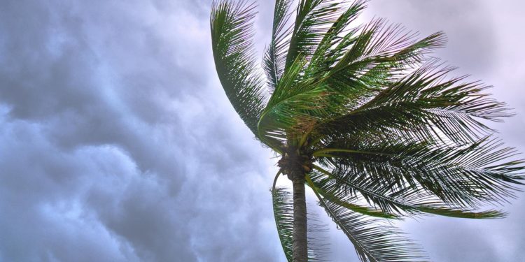 Un nouveau coup de vent va balayer l’ouest de la France à partir de dimanche