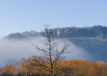 Tarbes et les Hautes Pyrénées placés en alerte vigilance vents violents