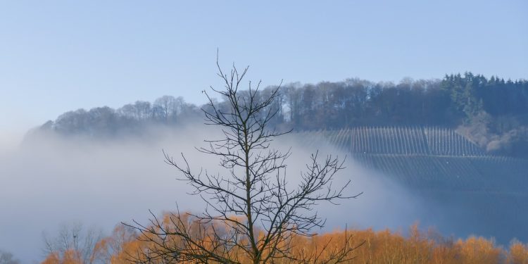 Tarbes et les Hautes Pyrénées placés en alerte vigilance vents violents