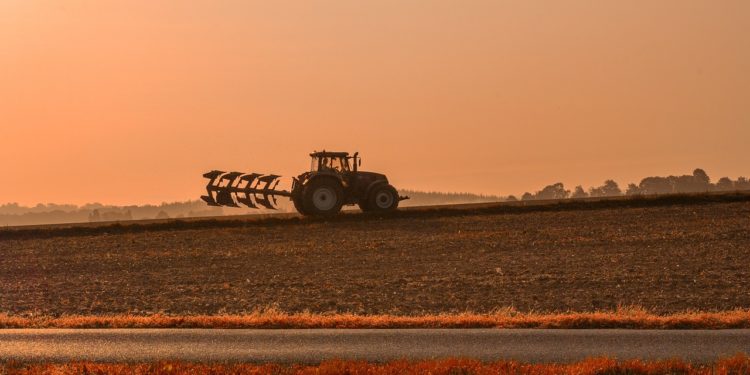 Météo Tarbes - de 5 à 25 degrés, soleil grisaille pluie, une vrai semaine d'automne en Bigorre