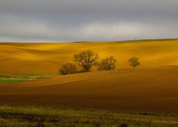 Météo France place le Gers, les Landes et les Pyrénées Atlantiques en alerte vigilance aux orages