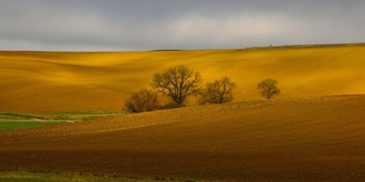 Météo France place le Gers, les Landes et les Pyrénées Atlantiques en alerte vigilance aux orages